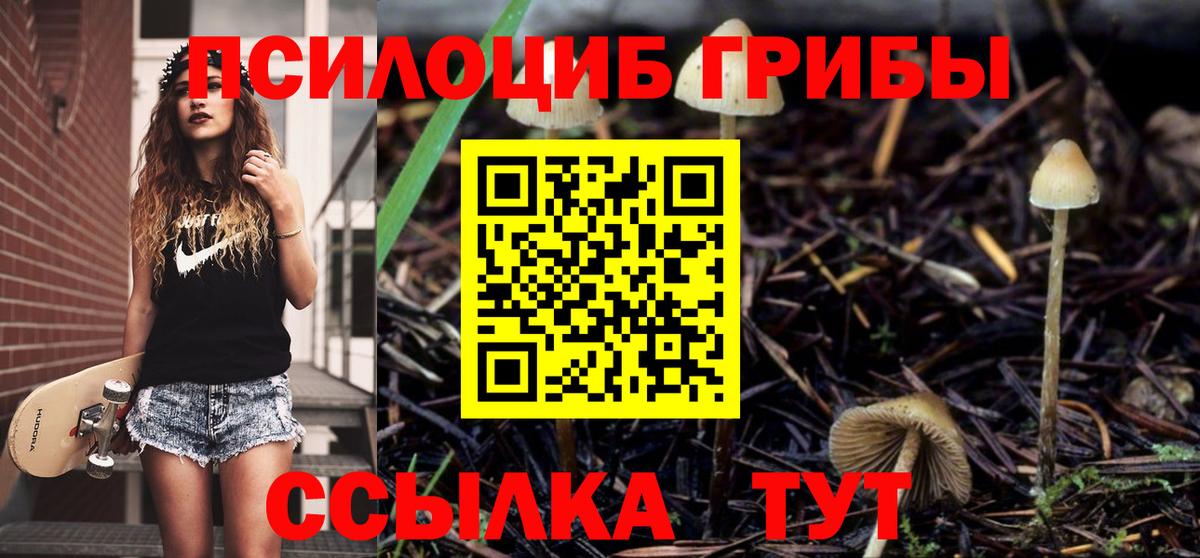 Галлюциногенные грибы прущие грибы Керчь